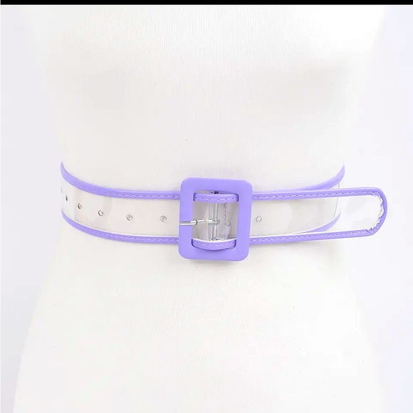 Transparent Belt - Picture 1 of 1